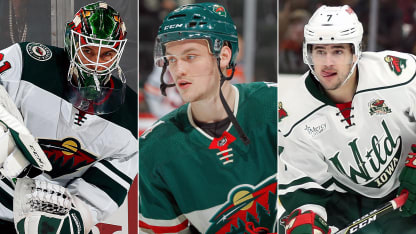 Wild AHL prospects 5.20