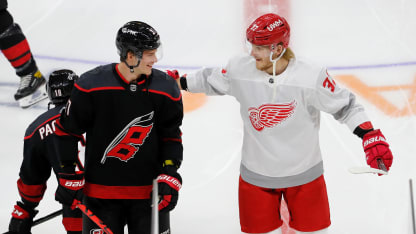 svechnikov and svechnikov