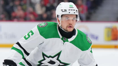 O Calder Cup si zahrají farmy Canucks a Panthers