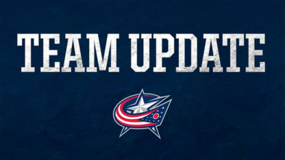 Recall Del Bel Belluz and place Gudbranson on IR