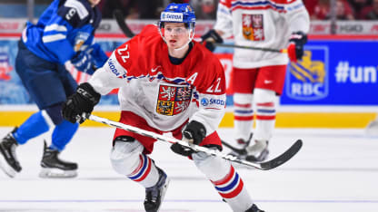 daivd kase - team cz