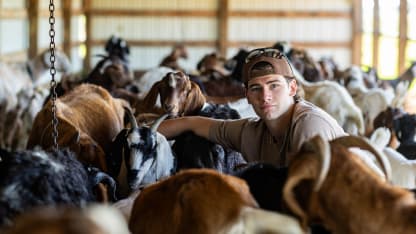 Carels Stays Home To Celebrate Flames Pick On The Family Farm