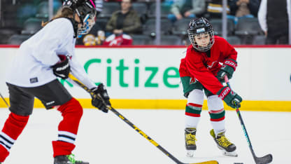 Youth Hockey Matchup