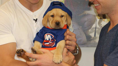 Isles_Puppy_01