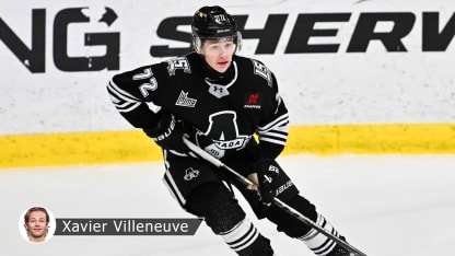 Villeneuve carnet janvier