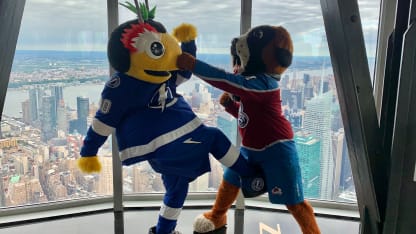 Bernie and ThunderBug battle for the Stanley Cup