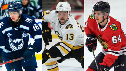 Kdo může dojít z AHL až na olympiádu