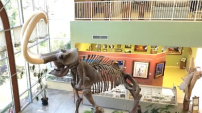 Fairview Museum of History & Art