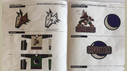 Arizona Coyotes should reach out to Hopi tribe over kachina logo