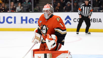 Ducks Dostal blessure au haut du corps