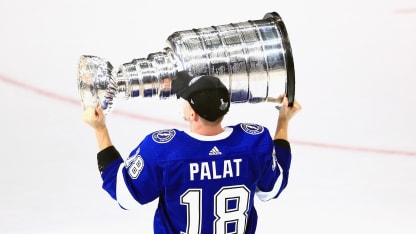 PalatCup
