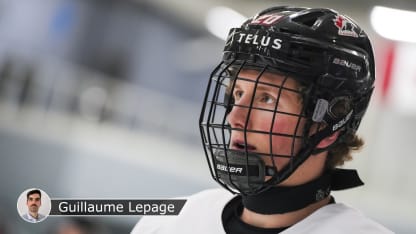 VERHOEFF BADGE LEPAGE