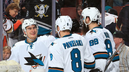 Burns Sharks Ducks
