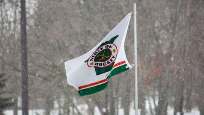 Hockey Day 2009 flag