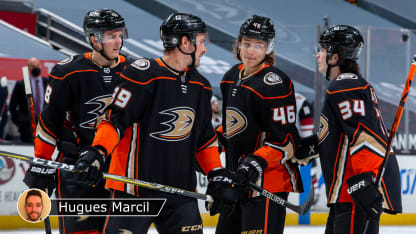 Ducks main badge marcil