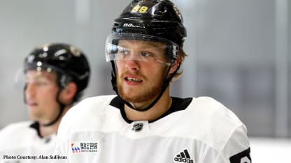 2568x1444_Pastrnak1