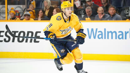 turris-nsh