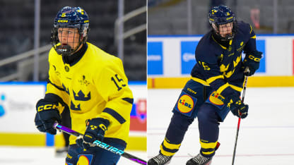 stenberg and bjorck