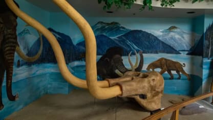 Museum of the San Rafael