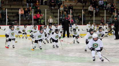 The Little Wild Learn to Play Program helped Minnesota Hockey establish a new state and national record for 8U players (18,839) during the 2017-18 season.