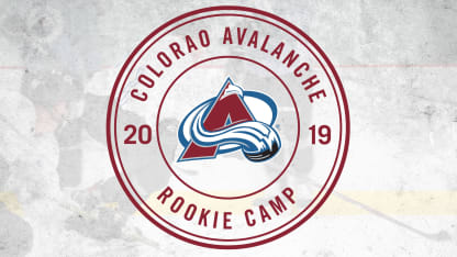 Rookie Camp logo 2019 gray background