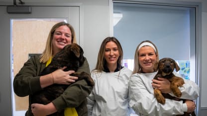 RELEASE: Jets Wives and Girlfriends host pet food drive with Winnipeg Humane Society