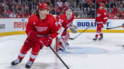 Detroit Red Wings Preseason Vorschau 2024-25 