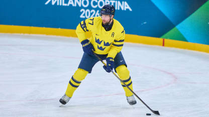 heddy sweden inline