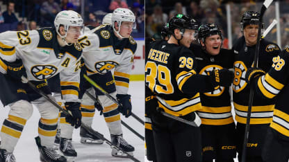 Providence Bruins, Boston Bruins