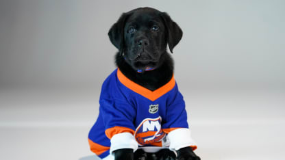 Islanders Partner with Guide Dog Foundation to Raise Third Puppy