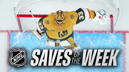 Top Saves from Week 15 of the 2025-26 NHL Season