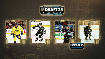 VGK25_Draft-Web