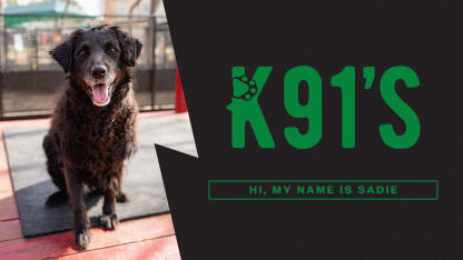 Sadie's adoption fees are covered