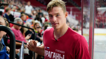 svechnikov