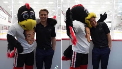 Tommy Hawk with Bedard spilt