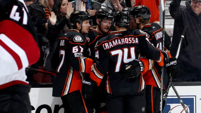 celly_mediawall_010617vsARI