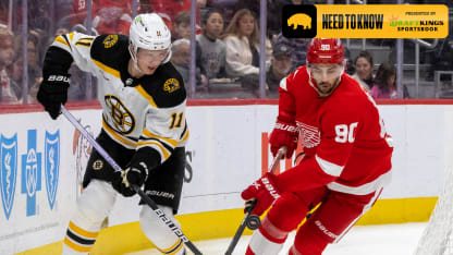 Need to Know: Bruins at Red Wings