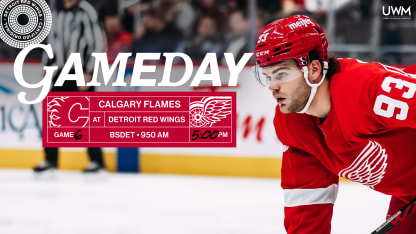 Shop Detroit Red Wings NHL Merchandise & Apparel - Gameday Detroit