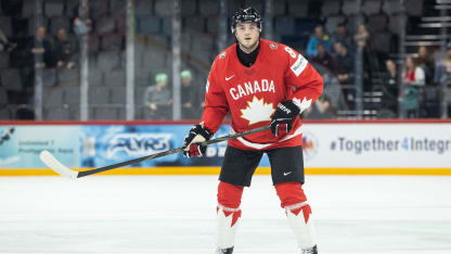 Islanders at 2025 IIHF World Championship