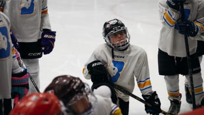Noche de LosVGK x Metepec Bùfalos 🏒