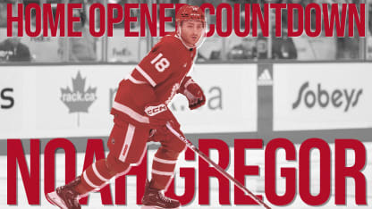 Countdown Gregor