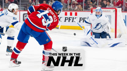 This Week in the NHL!
