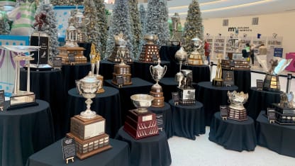 WC_CupDisplay_Trophies