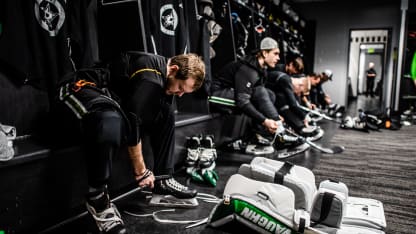 Khudobin_laces_skates