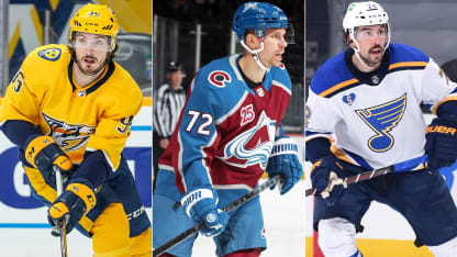 duchene donskoi faulk