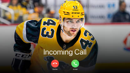 Incoming call sheary