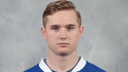 Adam_Brooks_Mug_Leafs