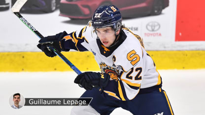 BourqueLepageLNH120221