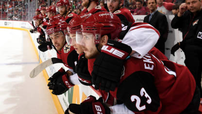 Coyotes_on_bench