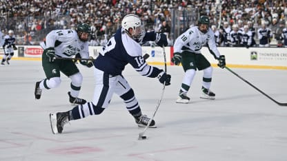 Fink outdoor game shot